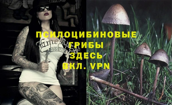 MESCALINE Арсеньев