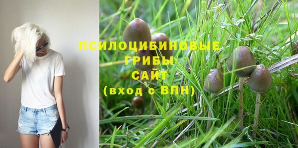MESCALINE Арсеньев